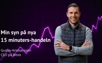 Gustav Kristiansson: 15-minutershandeln är här – vad krävs av elbolagen?