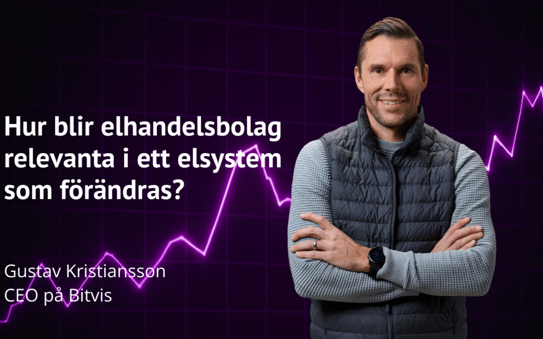 Hur blir elhandelsbolag relevanta i ett elsystem som förändras?