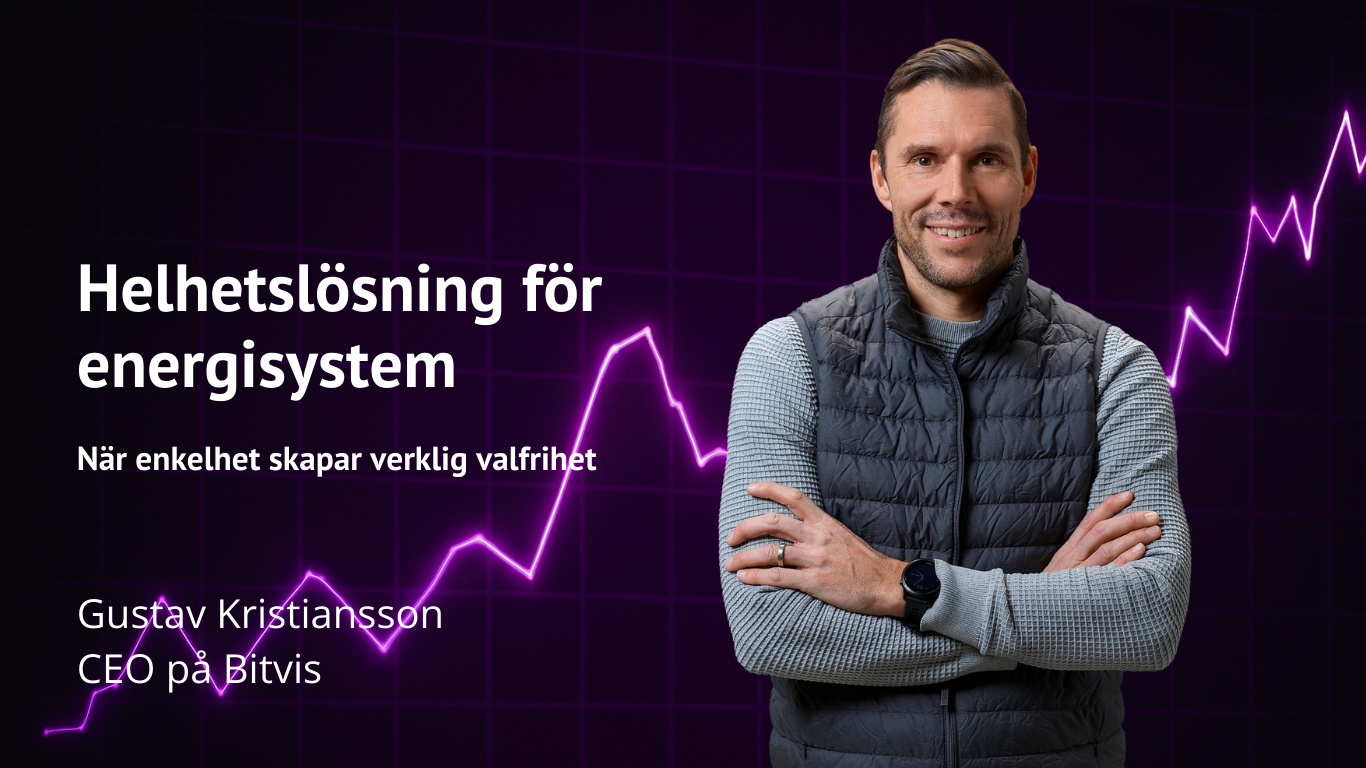 Bitvis VD Gustav Kristiansson framför en lila graf som pekar uppåt