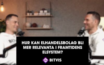 Energisnack: Hur kan elhandelsbolag bli mer relevanta i framtidens elsystem?