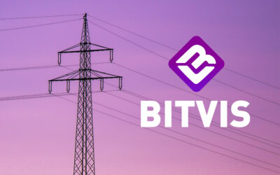 Bitvis i Ny Teknik: Flexmarknader måste tåla planering