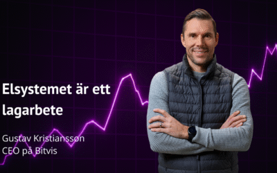 Elsystemet är ett lagarbete