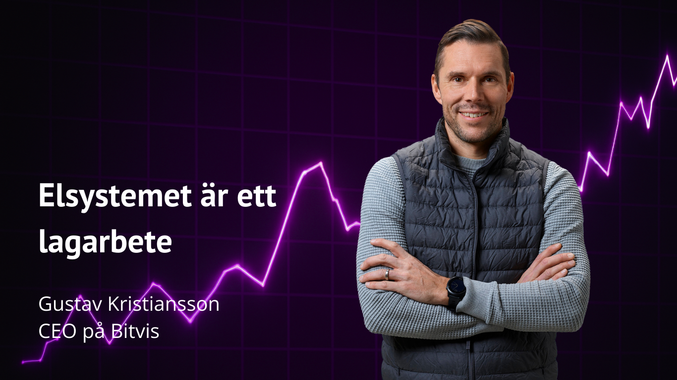 Elsystemet är ett lagarbete med Gustav.