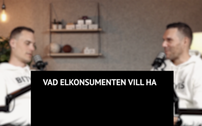 Energisnack: Vad elkonsumenten vill ha